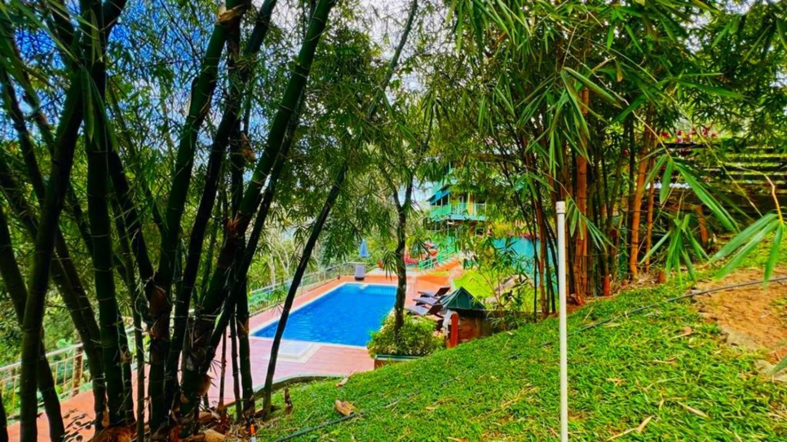 Bamboo Dale Resort, Munnar Exterior foto